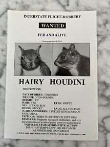 New ListingVintage Squirrel Postcard Wanted Poster Hairy Houdini Dick E. Birds News Pub 88’