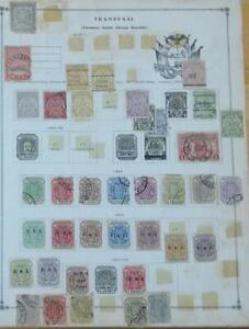 CF31-Transvaal, stamps from Scott International album
