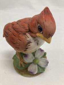 Andrea by Sadek Young Cardinal Figurine Porcelain Bird Dogwood Spring #9601 3.5