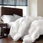 Siberian Goose Down Comforter, 100% Egyptian Cotton White (Size: Queen / 90x90)