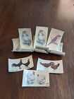 Vintage Collectibles Lot Of 36 1930s John Player And Sons Bird Transfers VC1