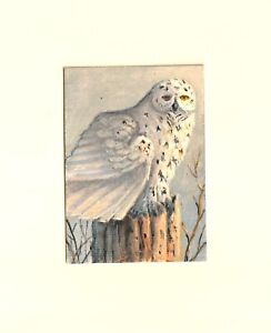 Original wildlife aceo   painting of a Snowy Owl by R D. Heffron