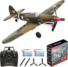 LEAMBE RC Plane 4 Channel Remote Control Airplane - Ready to Fly P-40 Warhawk RC
