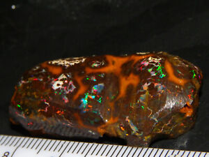 Nice Quality Qld Matrix Opal Rub/Rough 67cts Bright Red/Gold/Blue Fires NR lot