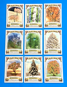 2021 ALLEN & GINTER .   set of 15 . ARBOREAL APPRECIATION . types of TREES