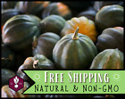 75+ Acorn Winter Squash [Table Queen] Seeds, Heirloom Vegetable Gardening, USA