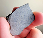 New ListingNWA 14131~ Meteorite ~ Eucrite Polished Slice 2.94  grams ~ Vesta