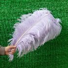 10 Pcs/Lot White Ostrich Feathers for Wedding Party Decoration Craft Plumes
