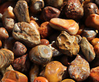 Bahia Agate - Rough Rocks for Tumbling - Bulk Wholesale 1LB options