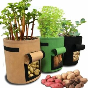 Plant Grow Bags 3 Size Home Garden Potato Pot Greenhouse Vegetable Growing Bags