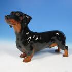 Rare Royal Doulton Figurine - HN1127 Ducshhund Dog Champion Shrewd Saint - 6 in