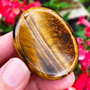 Natural Tiger Eye Palm Worry Stone Crystal Smooth Polished Gemstone Collection