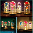 Gift Enchanted Rose Flower In Dome Glass LED Night Light Anniversaries Christmas