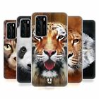 HEAD CASE DESIGNS ANIMAL FACES SOFT GEL CASE & WALLPAPER FOR HUAWEI PHONES