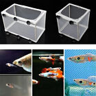 Aquarium Fish Trap Box Hatchery Net Tank Guppy Breeding Newborn Isolation S/L