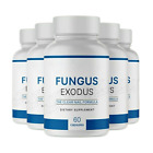 5-Pack Fungus Exodus Pills Supports Strong Healthy Natural Nails-300 Capsules