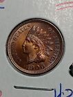 👉1900 Indian Head Cent, BU++ CHOICE  Red Brown