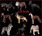 1/6 Scale Dogs Figure Bulldog Shepherd Lingbi Husky Rottweiler Doberman