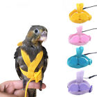 Bird Harness Leash Set Parrot Flying Rope Straps Outdoor Training for Cockatiel