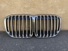 2019 2020 BMW X7 Front Grille W/ Camera Hole OEM