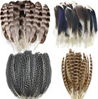 New Listing40PCS Natural Turkey Feathers, Spotted Pheasant Feathers, 4 Styles Feathers for