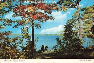 Postcard MN Milaca Minnesota's Indian Summer Lake View Trees Changing Colors
