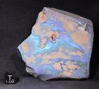736 ct Huge Seam Opal Rough from Lightning Ridge, Australia - cut or carve