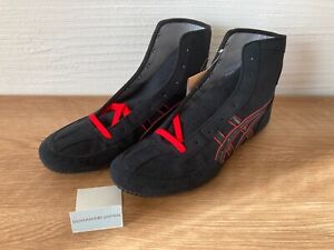 ASICS EX-EO Wrestling Boxing Shoes New model TWR900 1083A001 BLACK × BLACK × RED