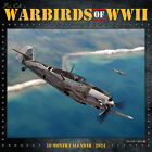 Warbirds of WWII 2024 12