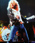 LED ZEPPELIN POSTER PAGE . 1975 ROBERT PLANT EARLS COURT CONCERT LONDON . T63