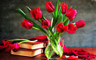 Red Tulip Bulbs| Prechilled Bulbs | Indoor Forcing| Ready to Grow Indoor/Outdoor