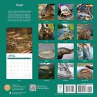 2024 Trout Monthly Wall Calendar by Bright Day 12x12 Inch Cute Nature Photograph