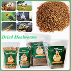 Bulk Dried Mealworms for Wild Birds Food Blue Bird Chickens Hen Treats Wholesale