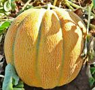 Seeds Melon Ethiopian Super Sweet Rare Fruit NON GMO Organic Heirloom
