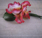Vintage Stamped Capodimonte Red Orchid Figurine