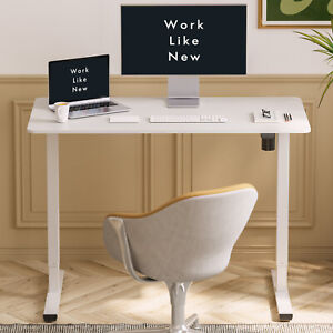FlexiSpot 48in Whole Piece Desktop Height Adjustable Home Office Standing Desk
