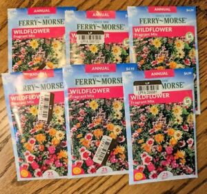 Lot of 6 JUMBO Wildflower Fragrant Mix Seed Packs, 2023 Ferry-Morse