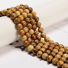 Picture Jasper Smooth Round Beads 4mm 6mm 8mm 10mm 12mm 15.5