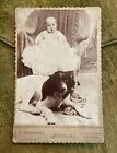 Antique Cabinet Card Baby in Chair w/ Dog Laying at Feet Logansport, Indiana