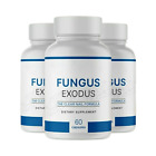 3-Pack Fungus Exodus Pills Supports Strong Healthy Natural Nails-180 Capsules