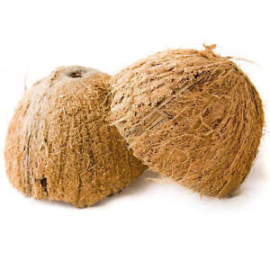 Coconut Shell Natural Bowl Eco Friendly Halves Ceylon Handmade