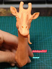 1:6 1:12 1:18 Giraffe Animal Soldier Head Sculpt For 12