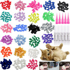 100 Pcs Soft Pet Cat Nail Caps Cats Paws Grooming Claws Covers Contro,10 Nails