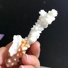 23g Beautiful Natural White Coral  Crystal Cluster Stone Mineral Sample c021