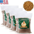 Bulk Dried Mealworms Non-GMO for Birds Chickens Hen Fish Reptile Turtles 44 LBS