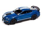 Auto World NEW '21 Shelby GT-500 Carbon Edition 1:64 Scale Diecast Car AW64382A