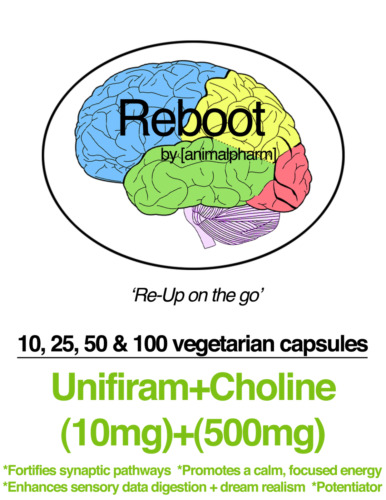 Unifiram(10mg) + Choline(500mg) Vegetarian Capsules AMPAkine Nootropic 99% pure