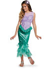 Adult's Womens Disney Princess The Little Mermaid Ariel Dress Costume