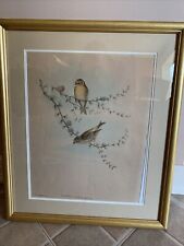 john gould bird lithograph