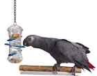 Push and Pull Parrot Foraging Toy, Bird Foraging Toy, Bird Toys, Parrot Toys